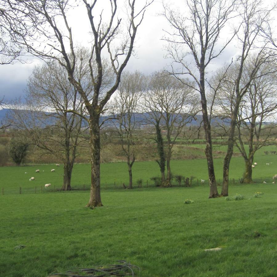 Knockninny Barn At Upper Lough Erne, County Fermanagh Enniskillen Eksteriør billede